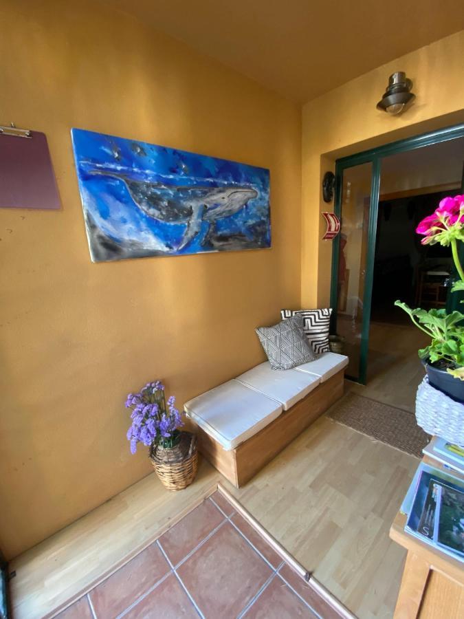 Casa Loureal Ribeira Sacra Ourense Dış mekan fotoğraf